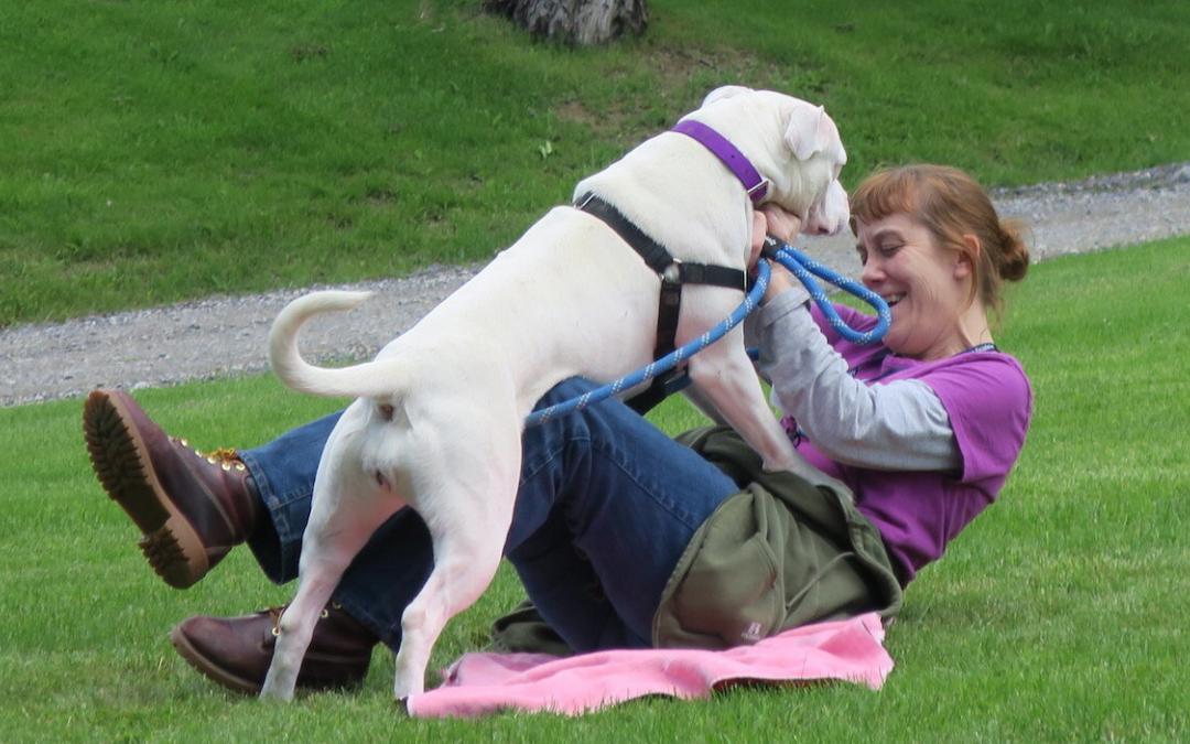 Simple Ideas that Will Make Shelter Dogs So Happy They’ll Shower You With Kisses