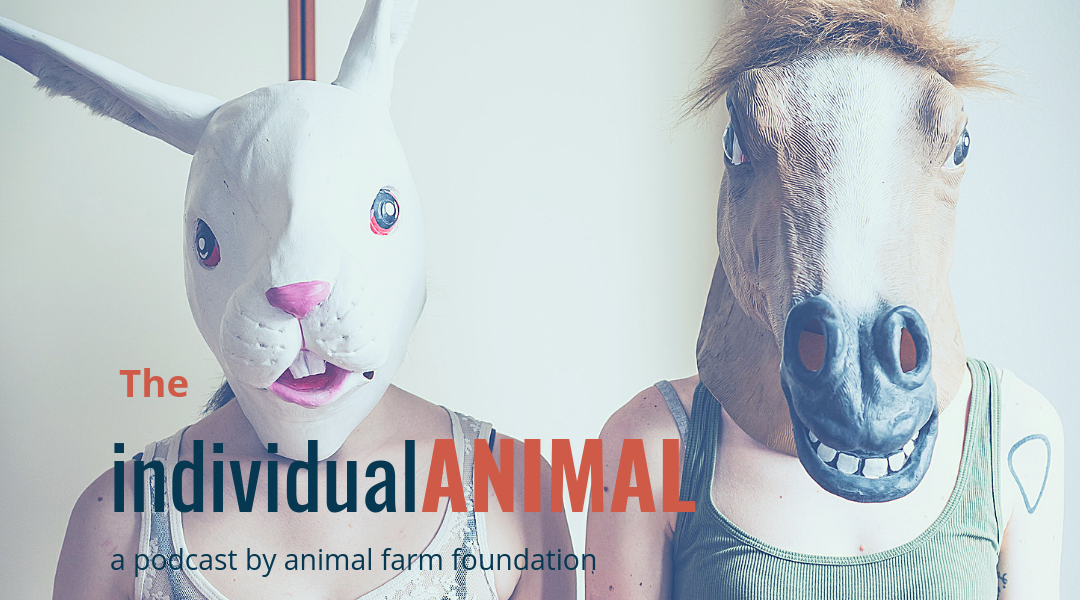 New Episode: We Call Bull On “Pit Bull” Awareness Events