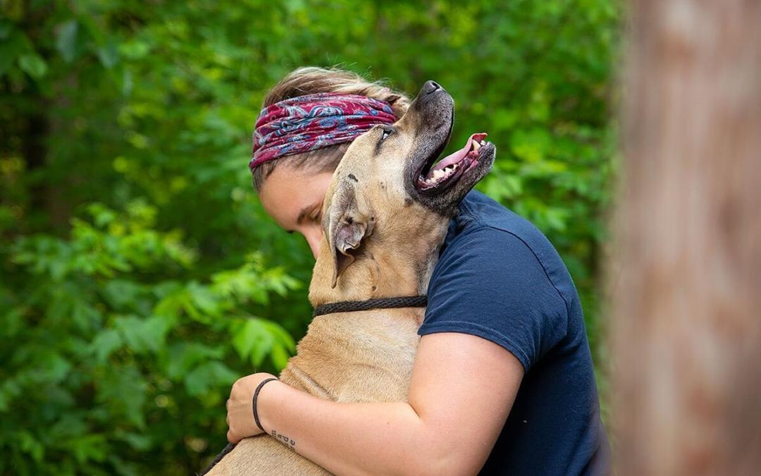 Transporting Shelter Dogs of All Shapes and Sizes Might Help Your Community Thrive